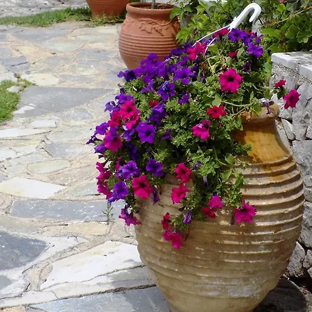 Hotel Blue Nydri (Lefkada)